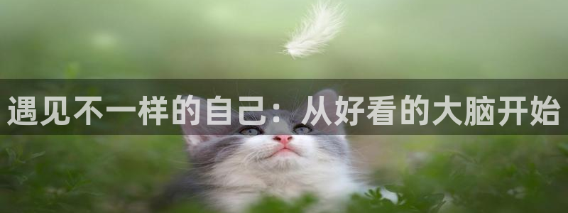 看韩漫的漫画有什么软件：遇见不一样的自己：从好看的大脑开始