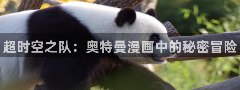 韩漫歪歪漫画破解版：超时空之队：奥特曼漫画中的秘密冒险