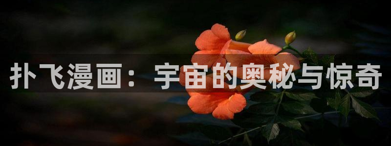 国漫韩漫：扑飞漫画：宇宙的奥秘与惊奇