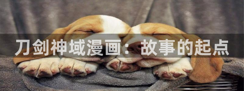 韩漫无羞遮无删减漫画：刀剑神域漫画：故事的起点